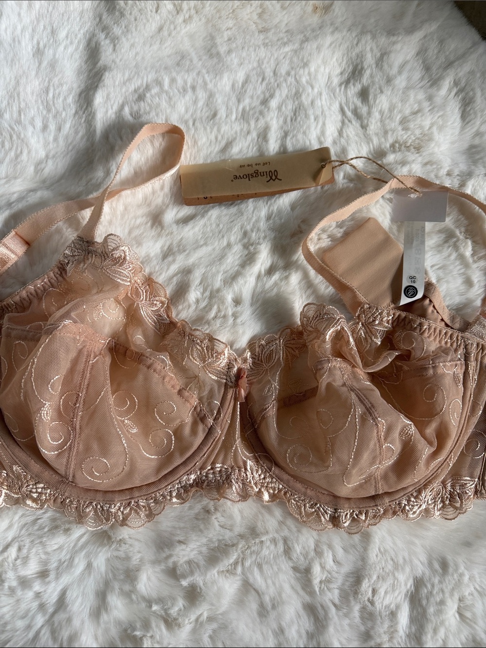 Wingslove Undergarments Sheer Lace Underwire Bra - Blush